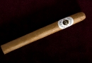 20091014_ashton898_0002