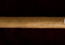 20091014_ashton898_0004