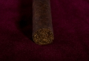 20091110_aam40_0005