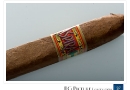 20101109cigs230010