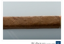 20101109cigs230011