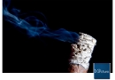 20090830_rfc_0044-edit