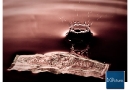 20090919_art_0071