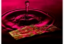 20090919_art_0091-2