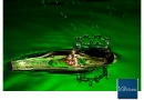 20090921_art_0041