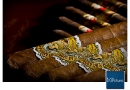20091026_art_0021