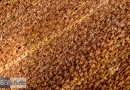 ipw0013