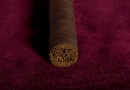 20090926_avsgr_0005