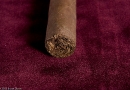 20090728_caoblack_0004