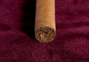org-4