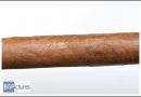 20120209cht0003-edit