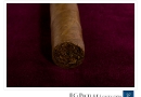 thumbs 20100902cre0004 Canimao Robusto Extra Cigar Review cigar art