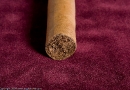 _mg_8300.jpg