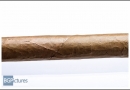 20120417csc0003-edit