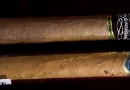 thumbs 20091128 css 0003 Cheap Stick Shootout 2 Cigar Review cigar art