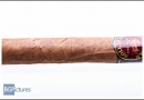 20130117css50007-edit