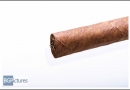 20130117css50008-edit
