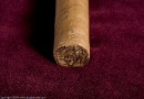_mg_5883.jpg