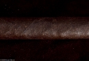 20090804_ctm_0003