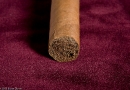 20090724_dondiago_0004