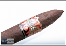 20120627dendt0002-edit