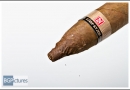 20120130denlps0004-edit