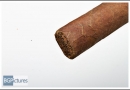 20120128dfbt0004-edit