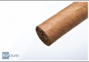 20120205dfct0004-edit