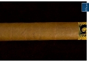 20100421gg2p0011
