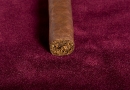 20091105_gmbl_0005