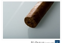 20101108cigs230004