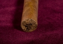 20100107_mbea_0004