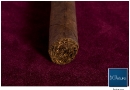 20100401mmc0005