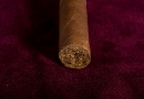 20091208_ohr_0005