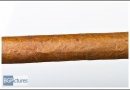 20111207oxrdc0003-edit