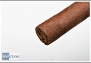 20120129pbngr0004-edit