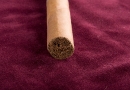 20090901_pdrct_0008