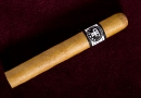 20091025_pfdc_0002