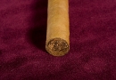 20091025_pfdc_0005