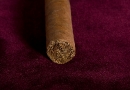 20091207_pivp_0005