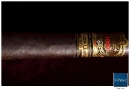 20100204_pslos_0004