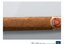 20110215rass0003-edit