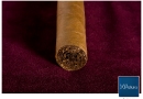 thumbs 20100322rpst0005 Rocky Patel Signature Series Toro Cigar Review cigar art