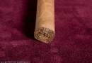 _mg_6728.jpg