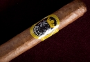 20100103_svcmm_0002