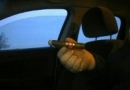 h-upmann-1844-odt2_