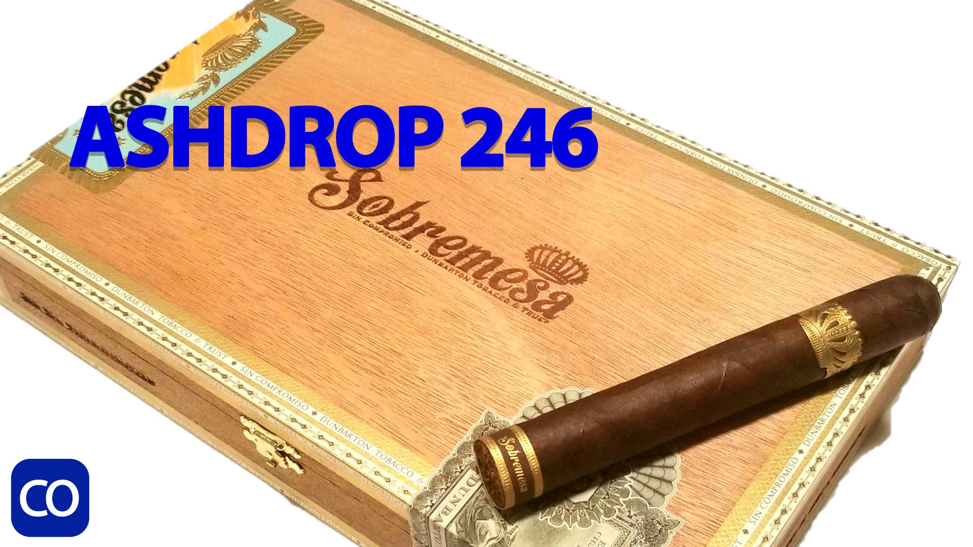 CigarAndPipes CO Ashdrop 246